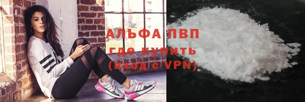 тгк Новодвинск